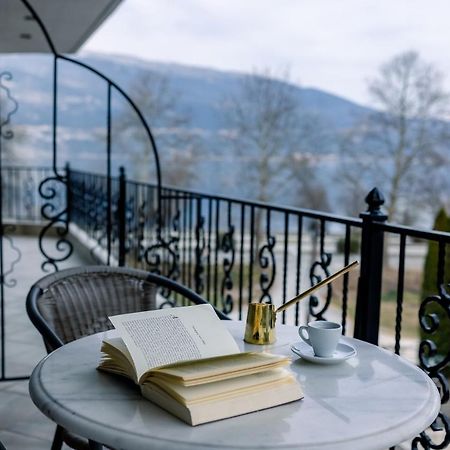 Akti Hotel Ioannina Exterior photo